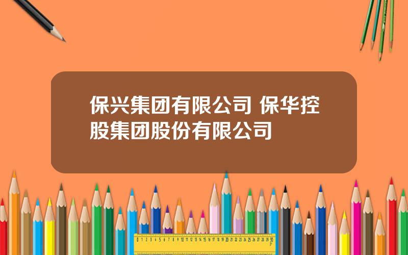 保兴集团有限公司 保华控股集团股份有限公司